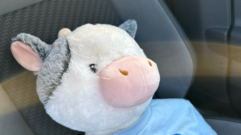 Volkswagen Polo 1.0 TSI 95 R-Line 5dr Petrol Hatchback